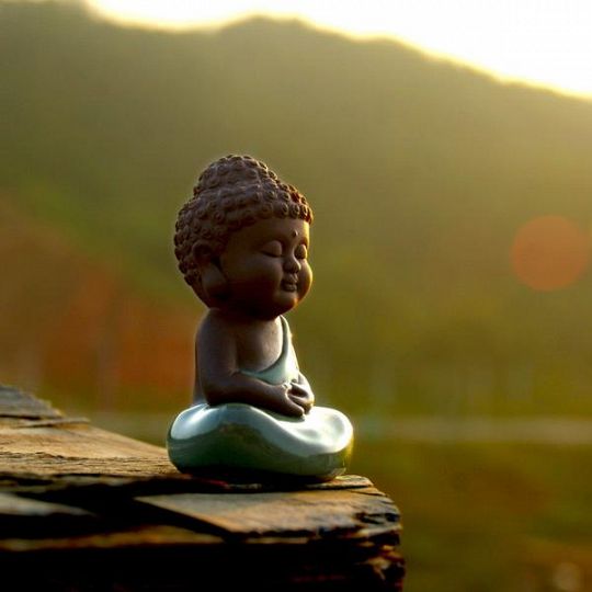 Buddha-1550684223.jpg